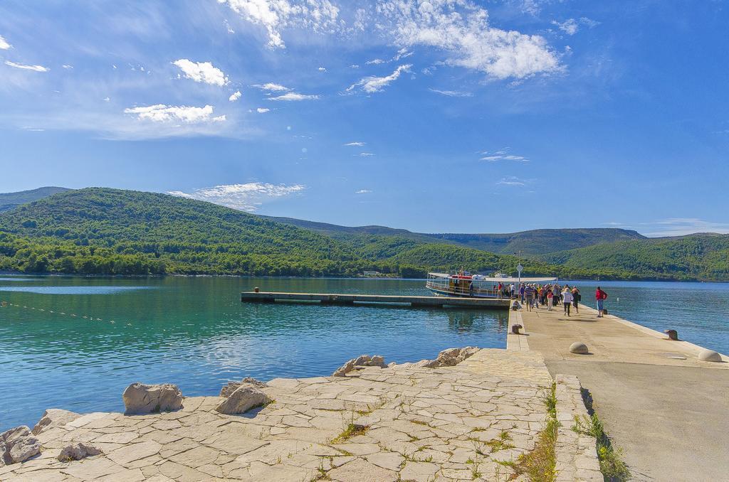 Villa House Oliva With Private Pool And Large Garden à Stari Grad  Extérieur photo